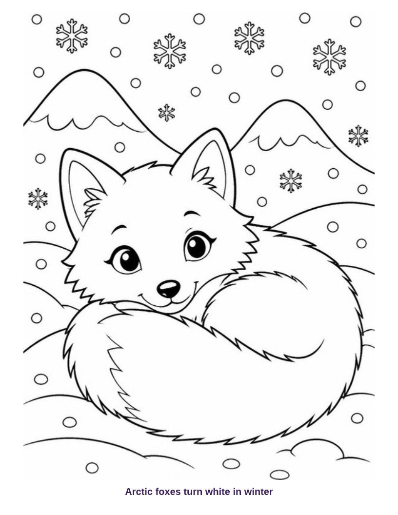 Coloring page: arctic fox