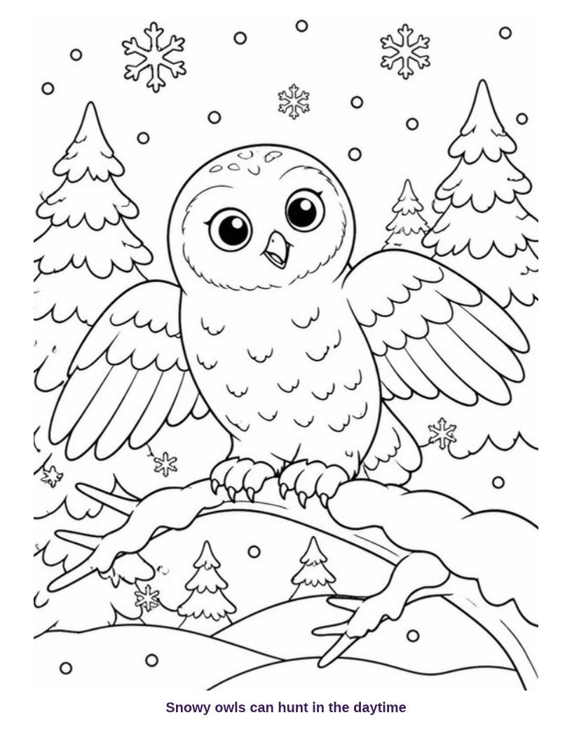 Coloring page: snowy owl