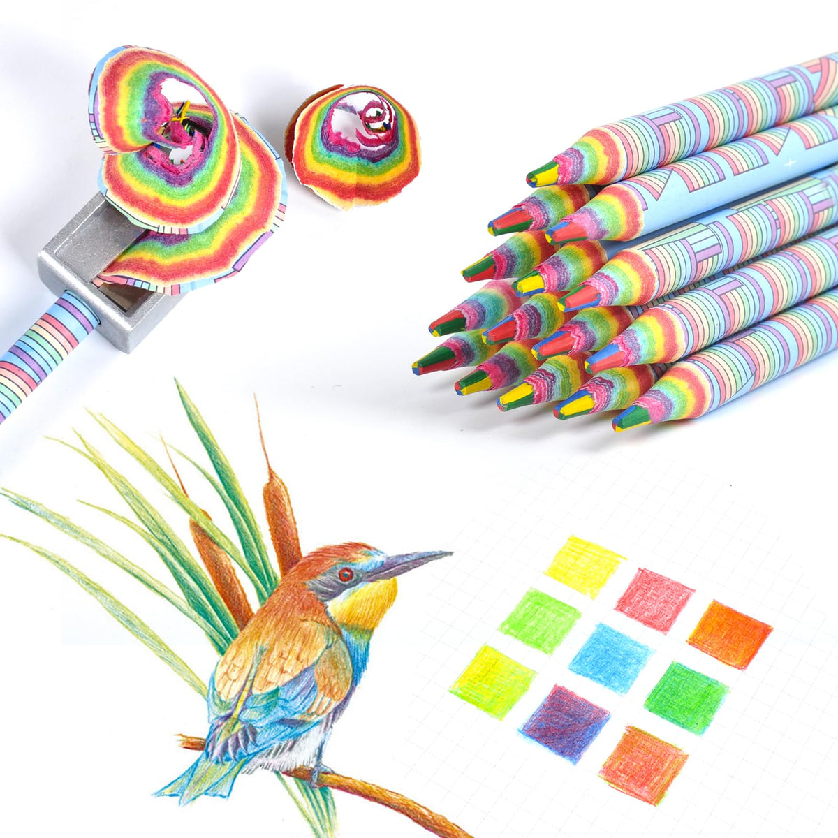 ECOTREE Rainbow Colored Pencils, 12 Pack