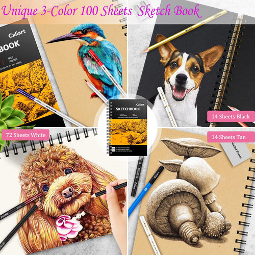 Caliart 176-Piece Sketching Kit